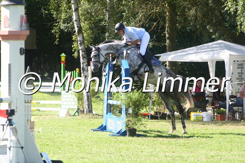 308M1395_Spring L.JPG